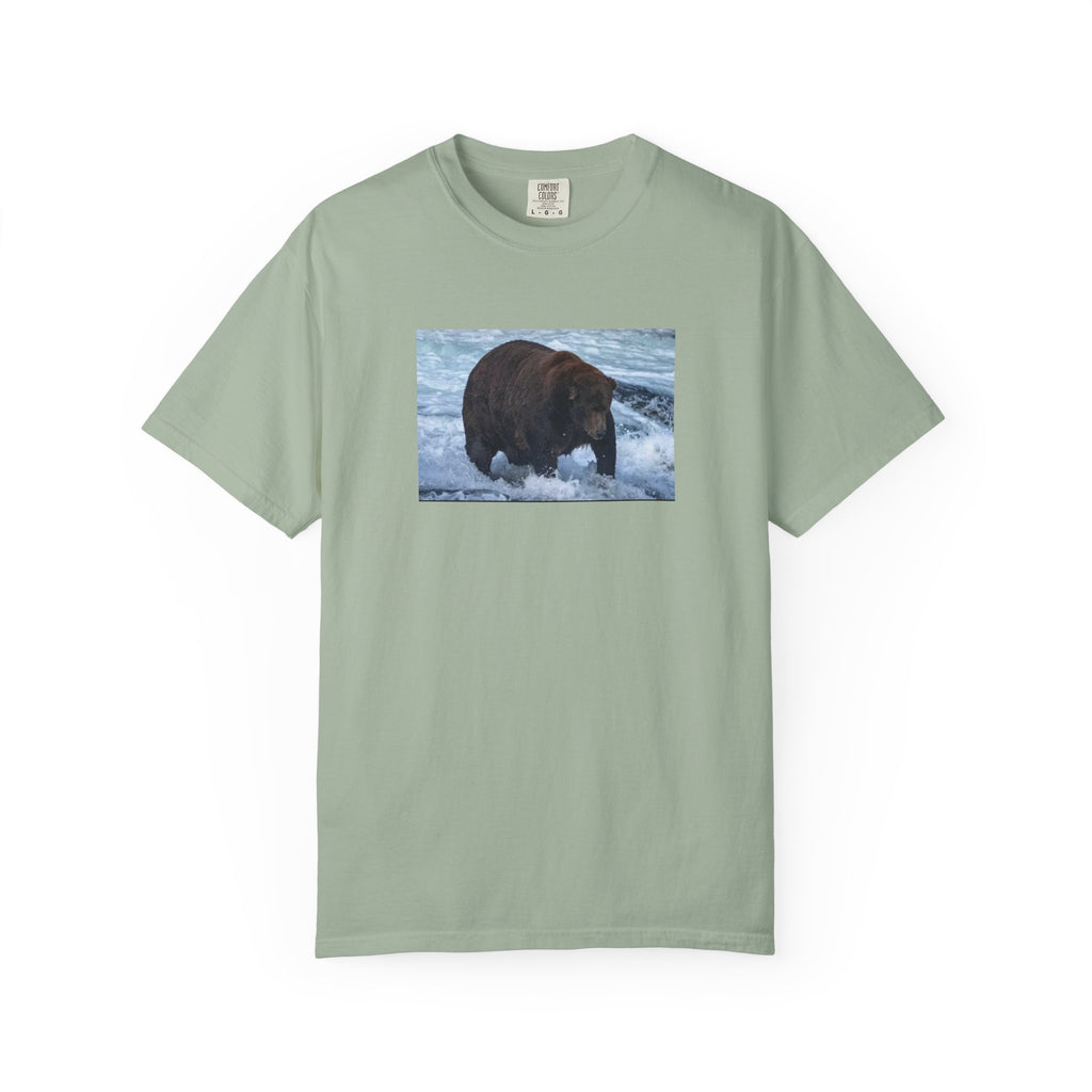 Bear 747 T-Shirt — Wildlife Photo Graphic Tee