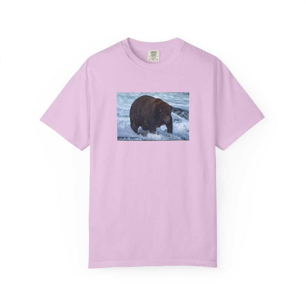 Bear 747 T-Shirt — Wildlife Photo Graphic Tee