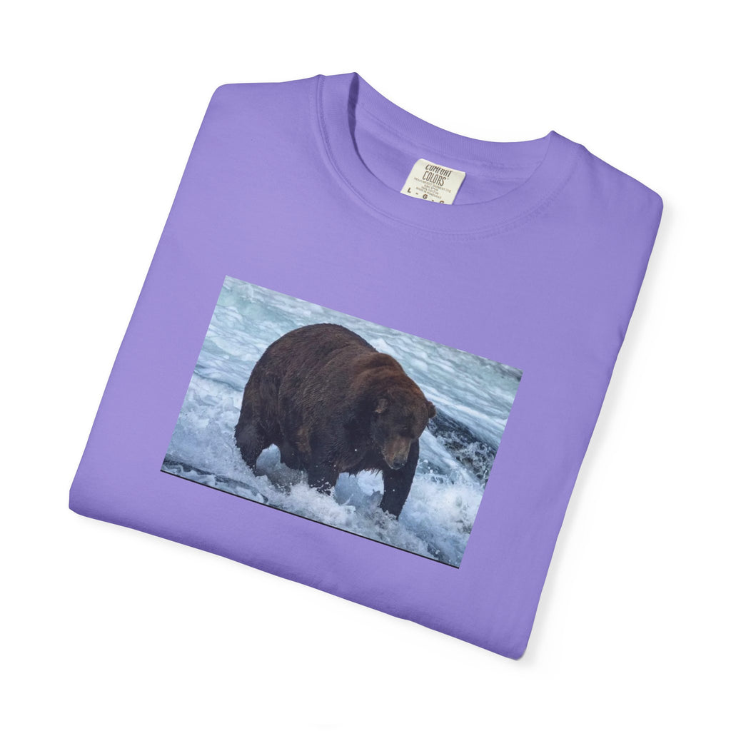 Bear 747 T-Shirt — Wildlife Photo Graphic Tee