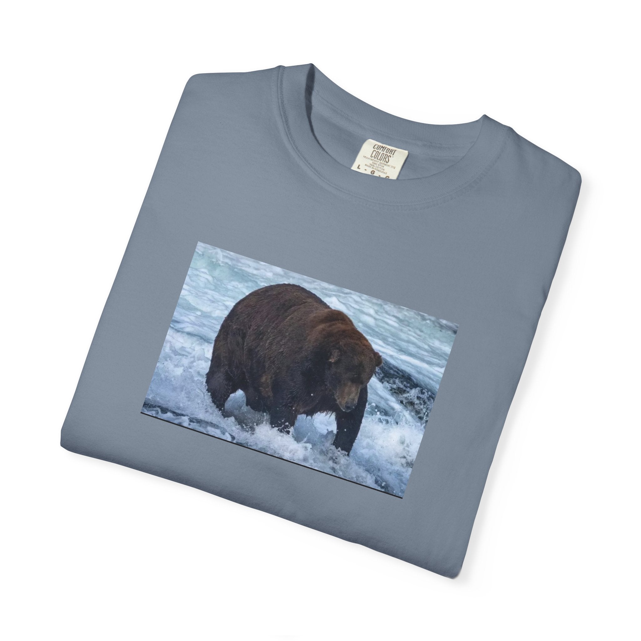Bear 747 T-Shirt — Wildlife Photo Graphic Tee
