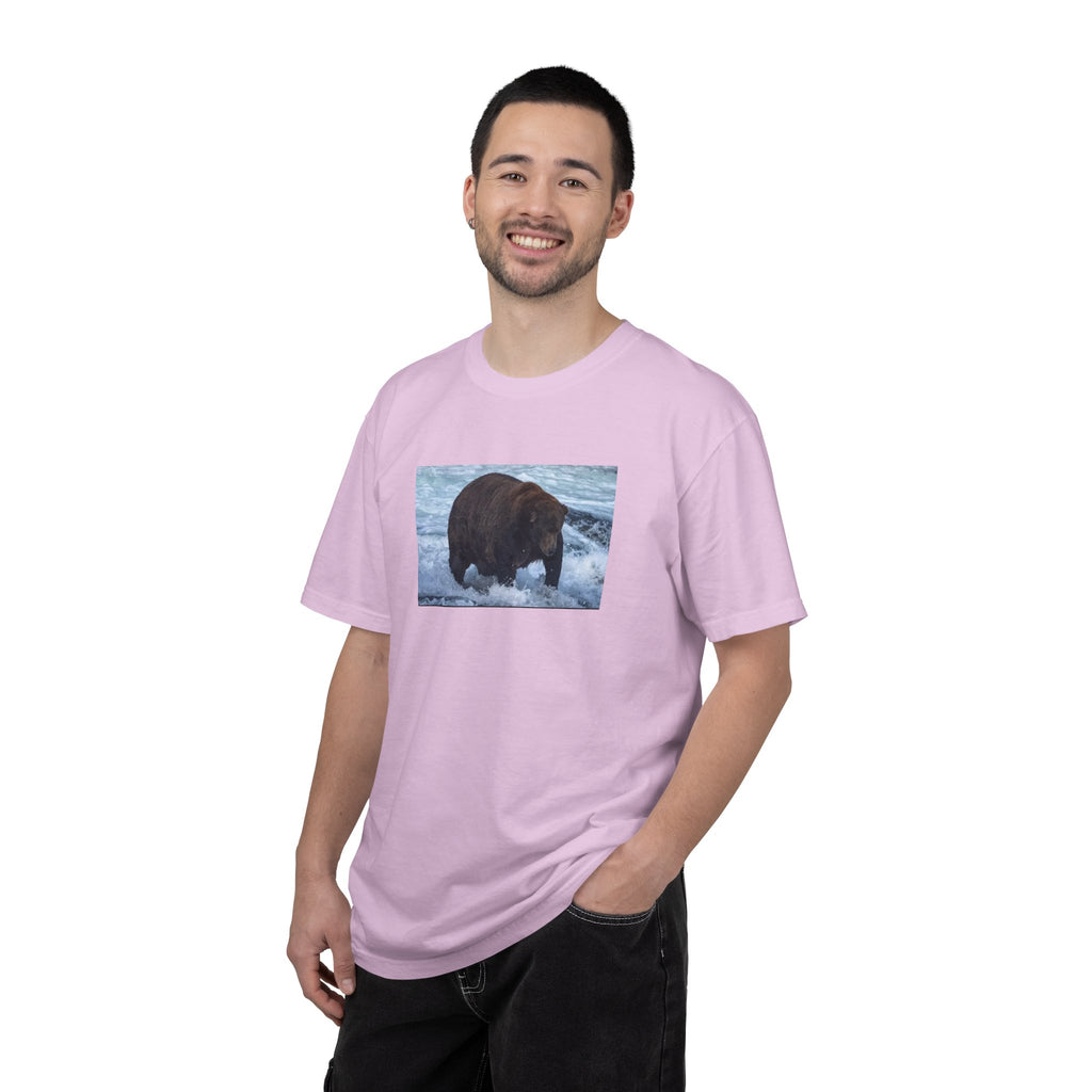 Bear 747 T-Shirt — Wildlife Photo Graphic Tee