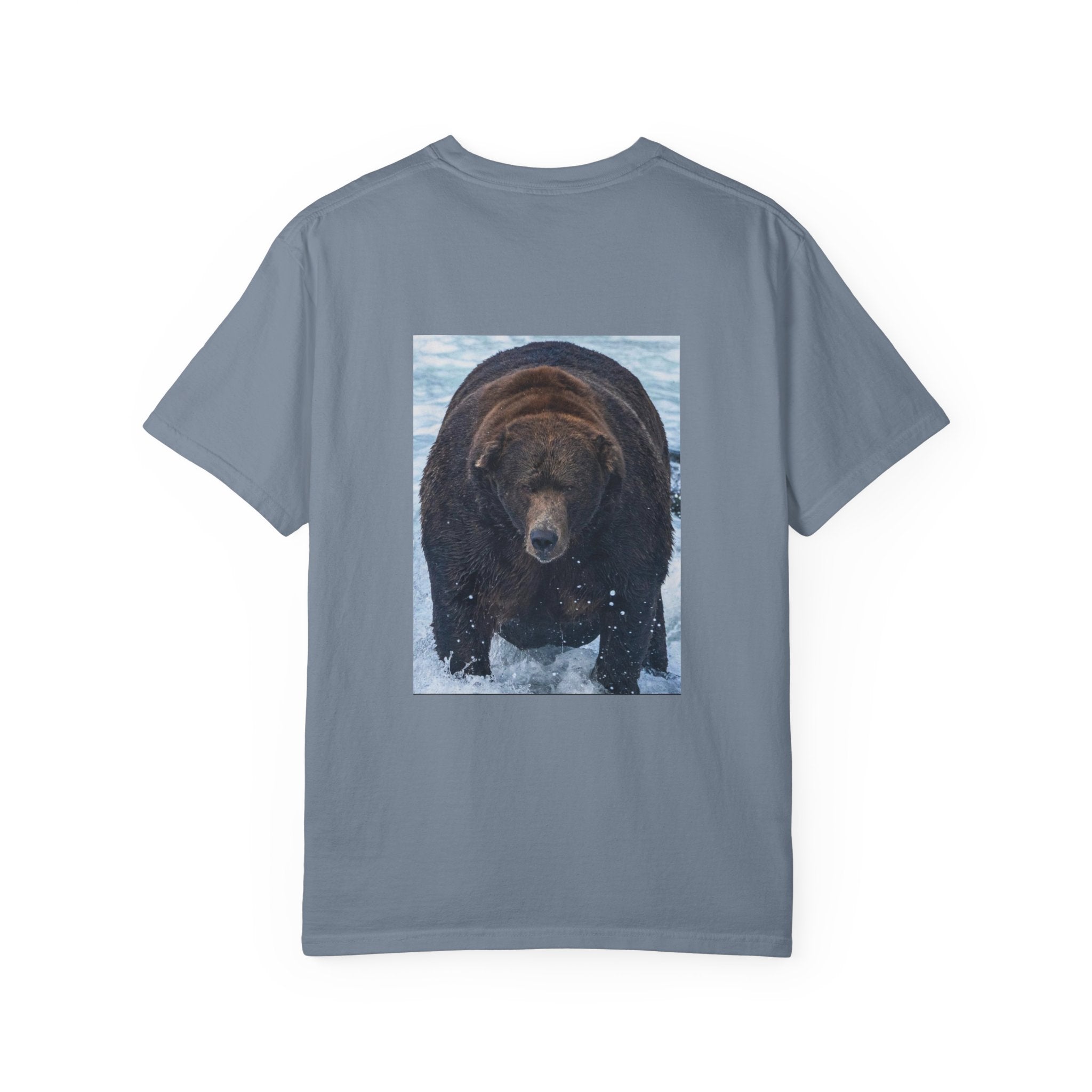 Bear 747 T-Shirt — Wildlife Photo Graphic Tee