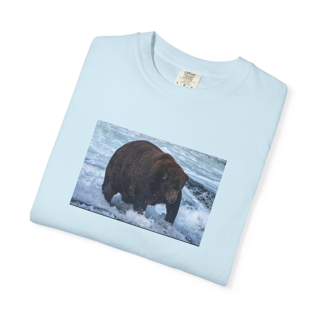 Bear 747 T-Shirt — Wildlife Photo Graphic Tee