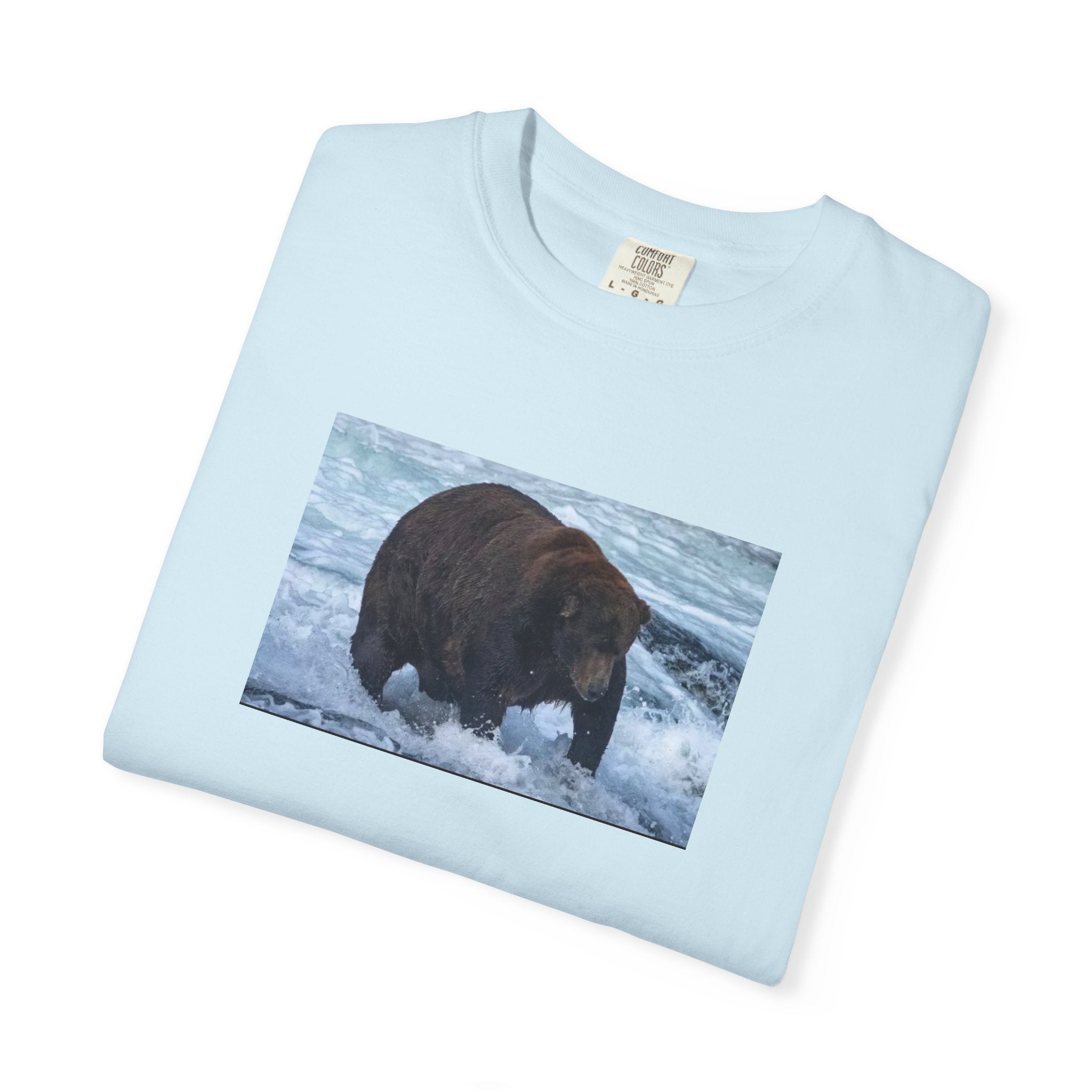 Bear 747 T-Shirt — Wildlife Photo Graphic Tee