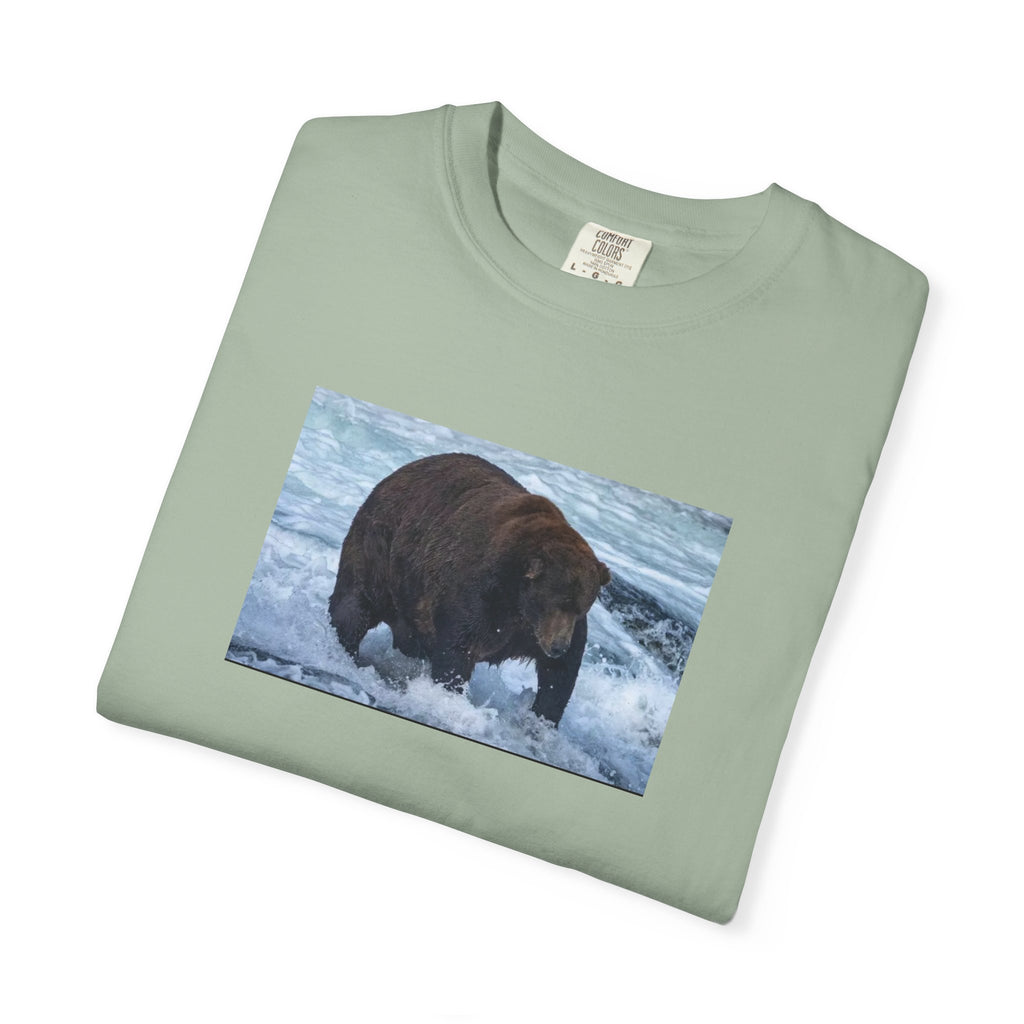 Bear 747 T-Shirt — Wildlife Photo Graphic Tee