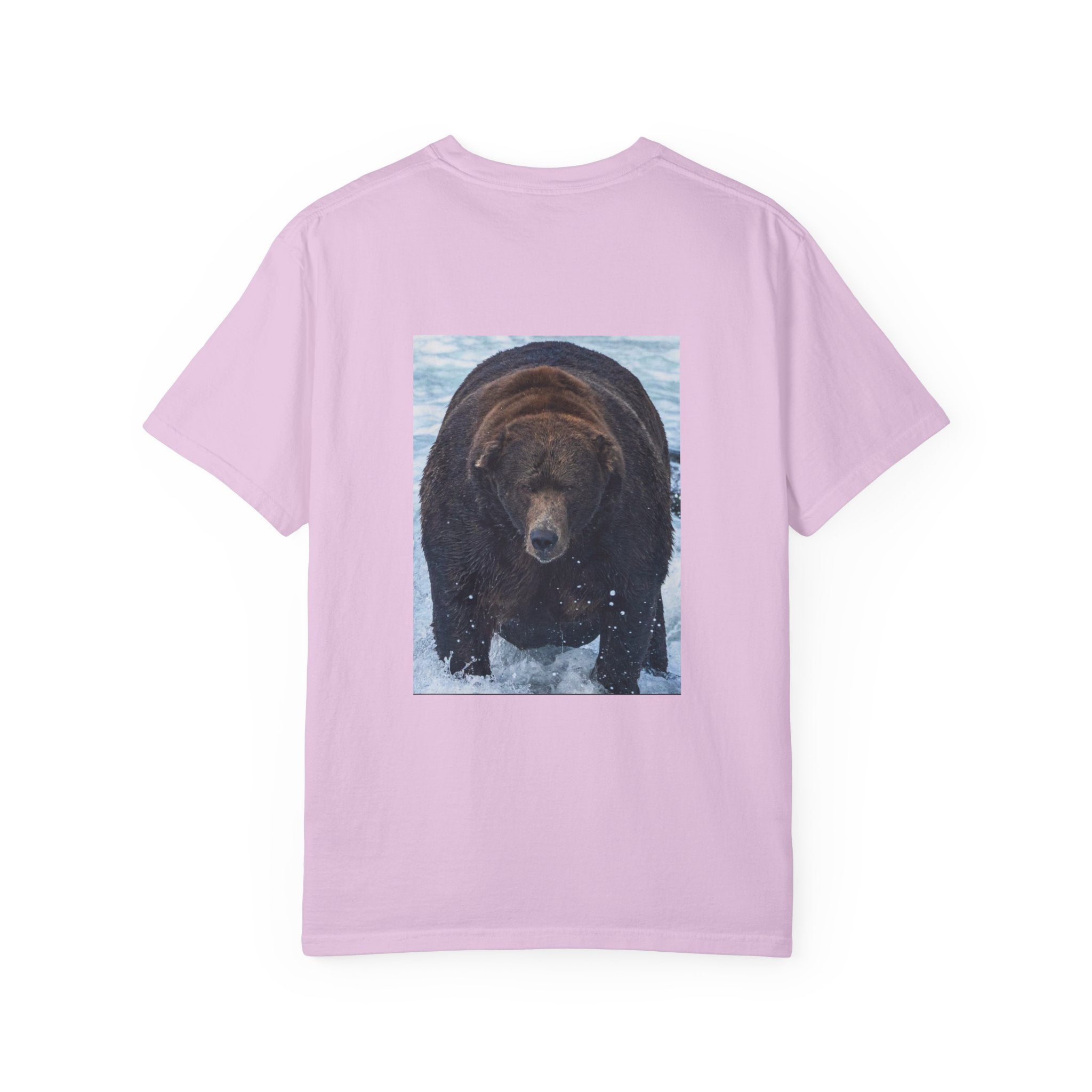 Bear 747 T-Shirt — Wildlife Photo Graphic Tee