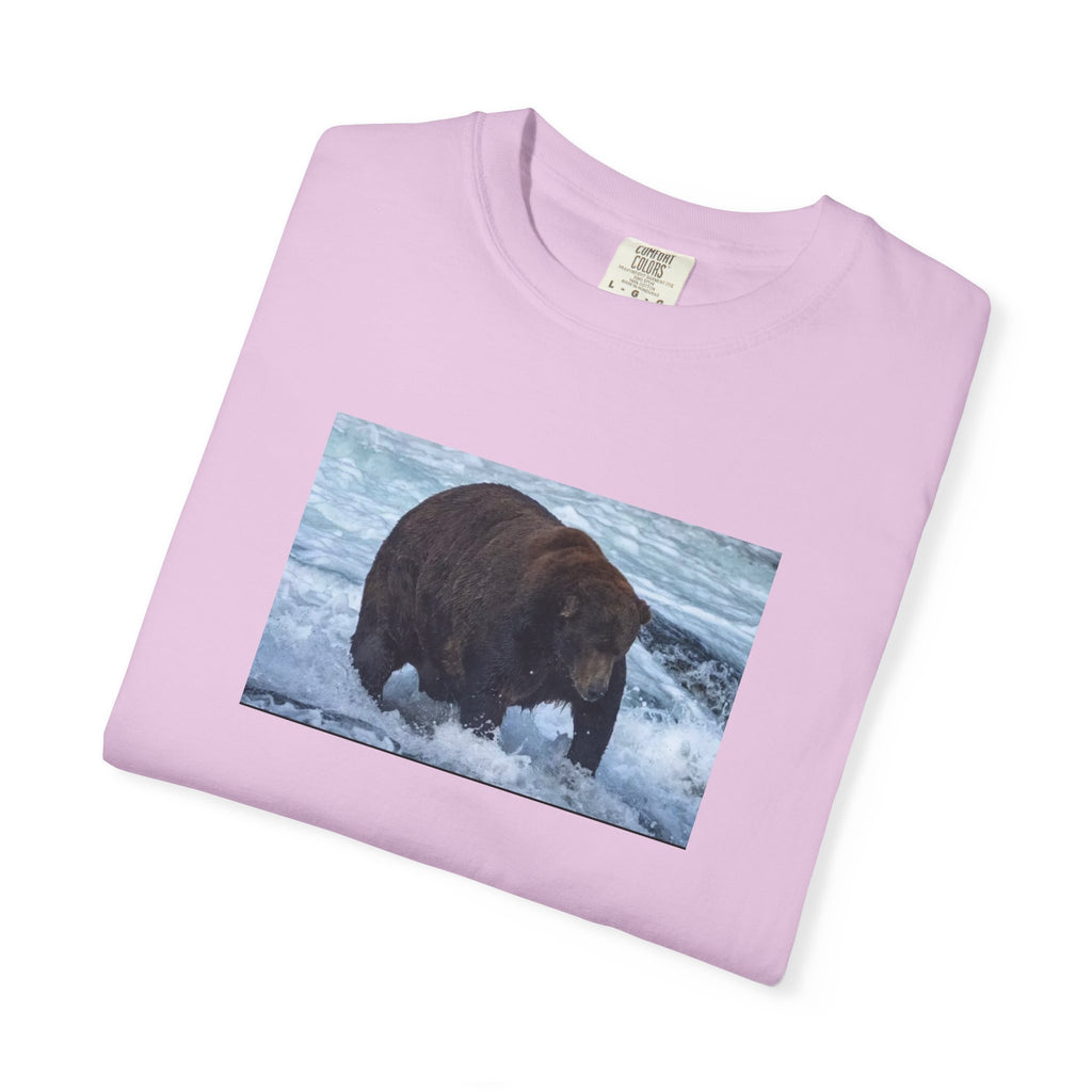 Bear 747 T-Shirt — Wildlife Photo Graphic Tee