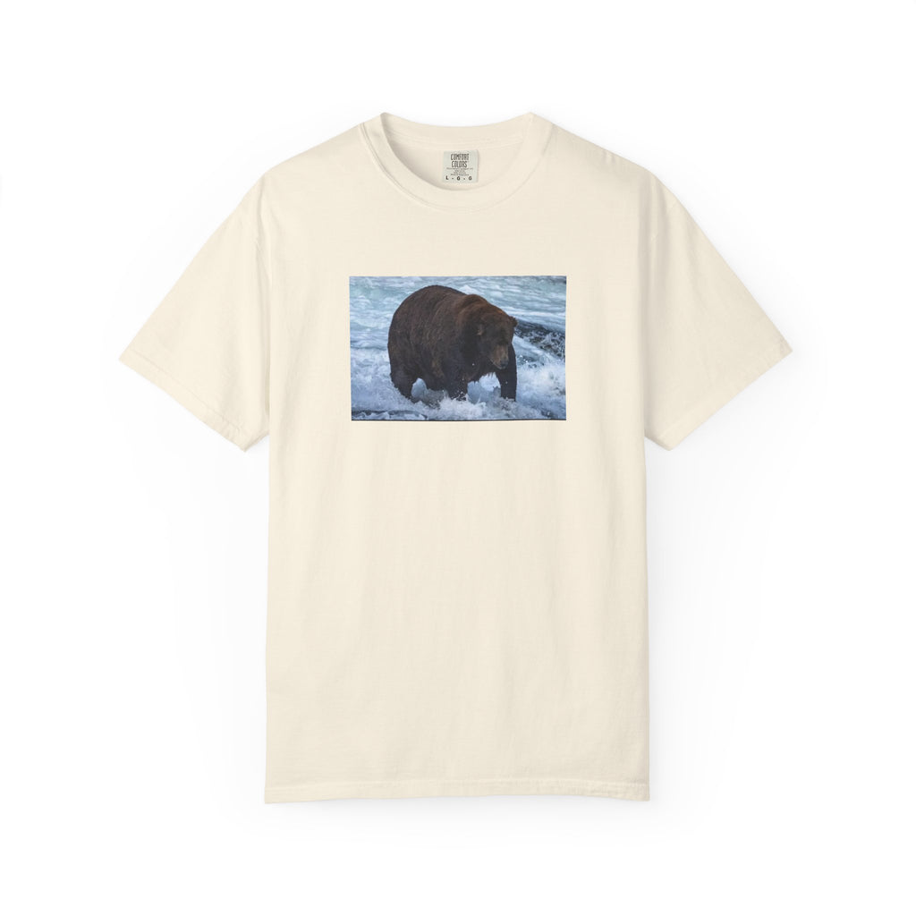 Bear 747 T-Shirt — Wildlife Photo Graphic Tee