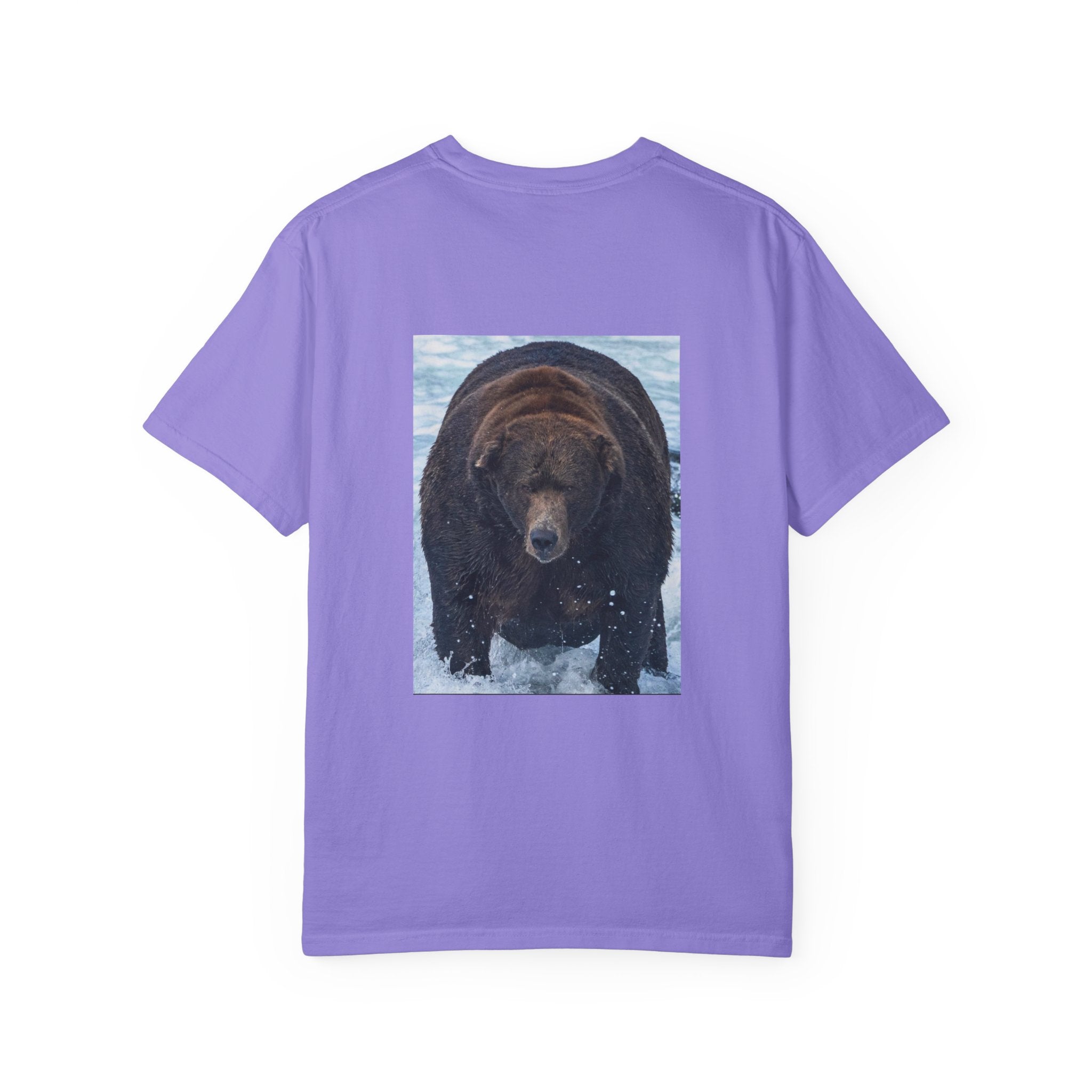 Bear 747 T-Shirt — Wildlife Photo Graphic Tee