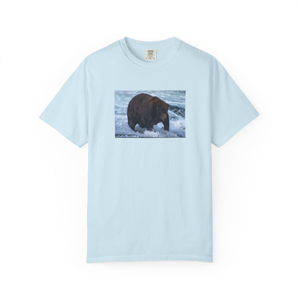 Bear 747 T-Shirt — Wildlife Photo Graphic Tee