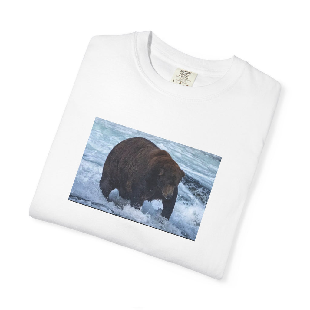 Bear 747 T-Shirt — Wildlife Photo Graphic Tee