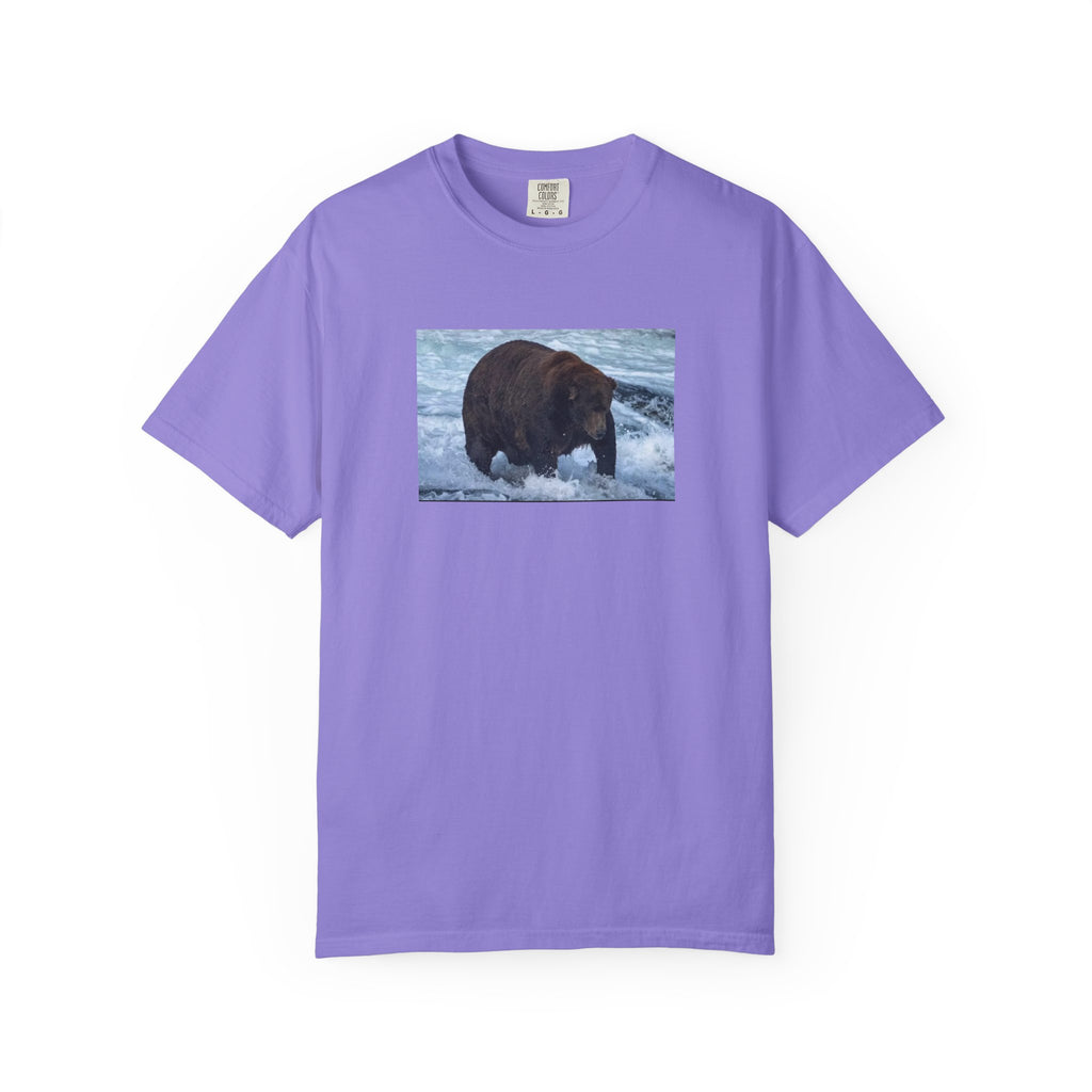 Bear 747 T-Shirt — Wildlife Photo Graphic Tee