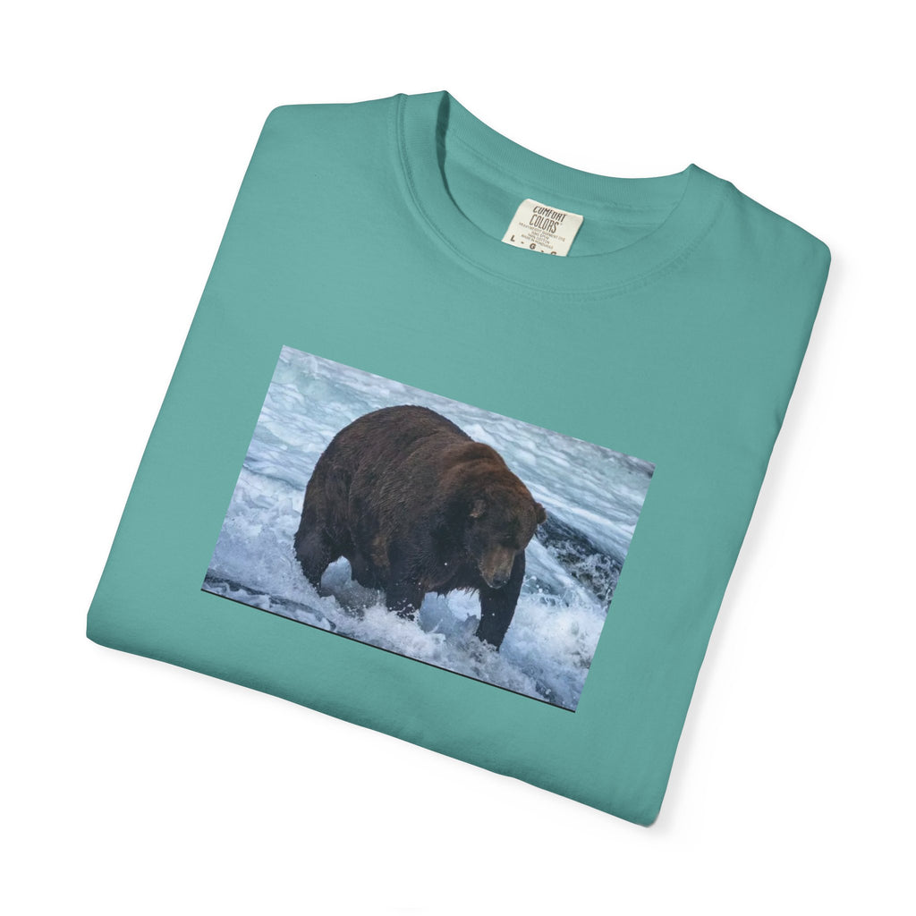 Bear 747 T-Shirt — Wildlife Photo Graphic Tee