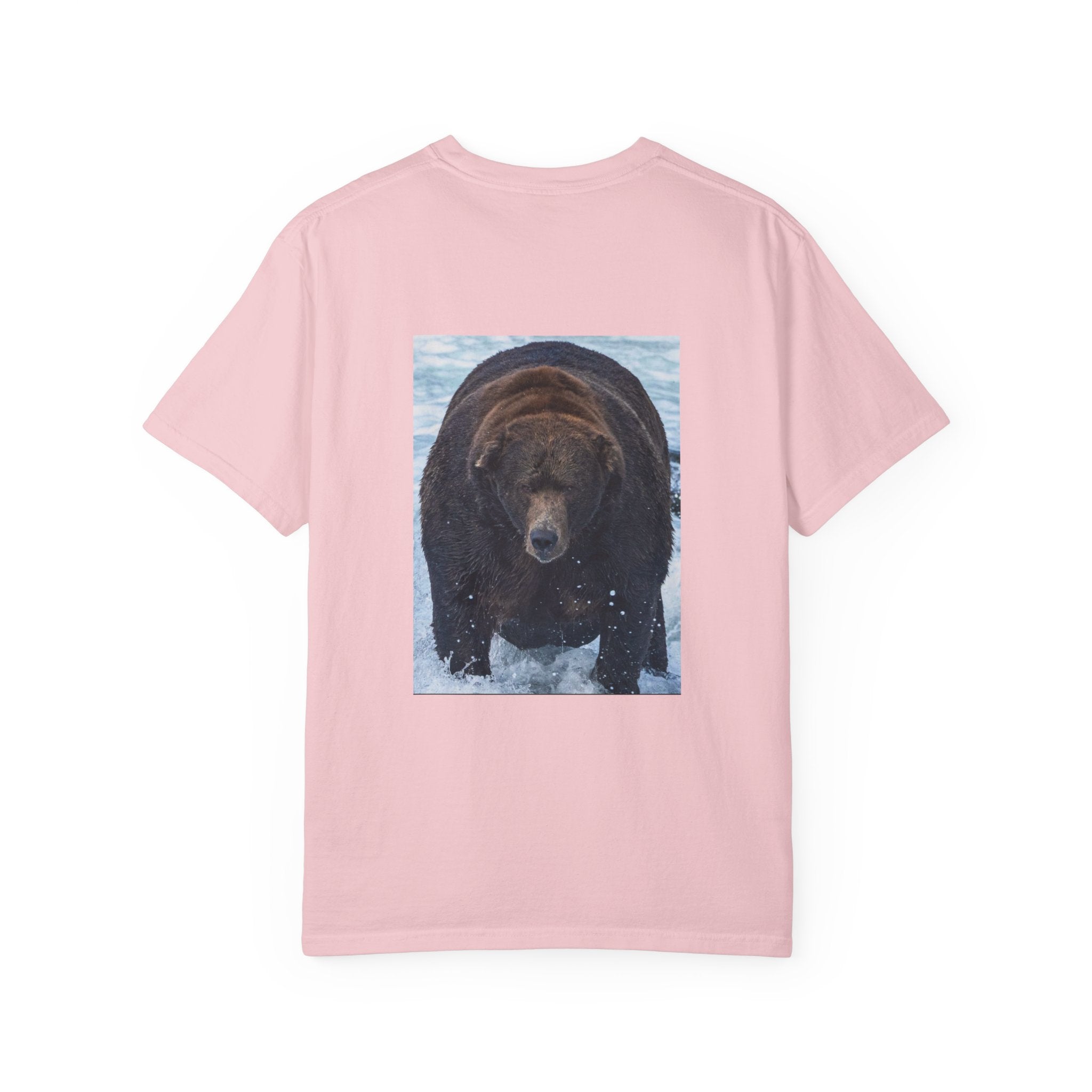Bear 747 T-Shirt — Wildlife Photo Graphic Tee