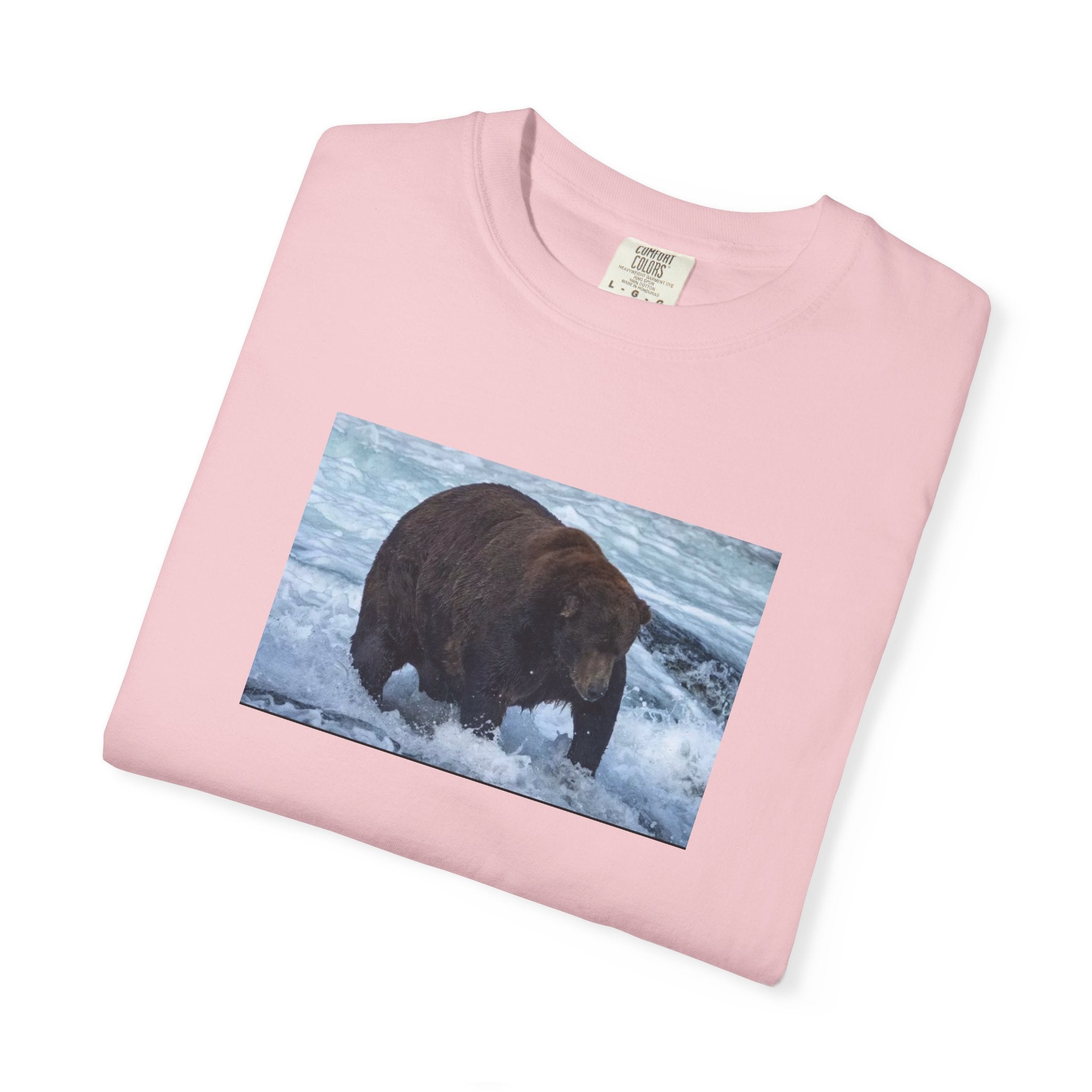 Bear 747 T-Shirt — Wildlife Photo Graphic Tee