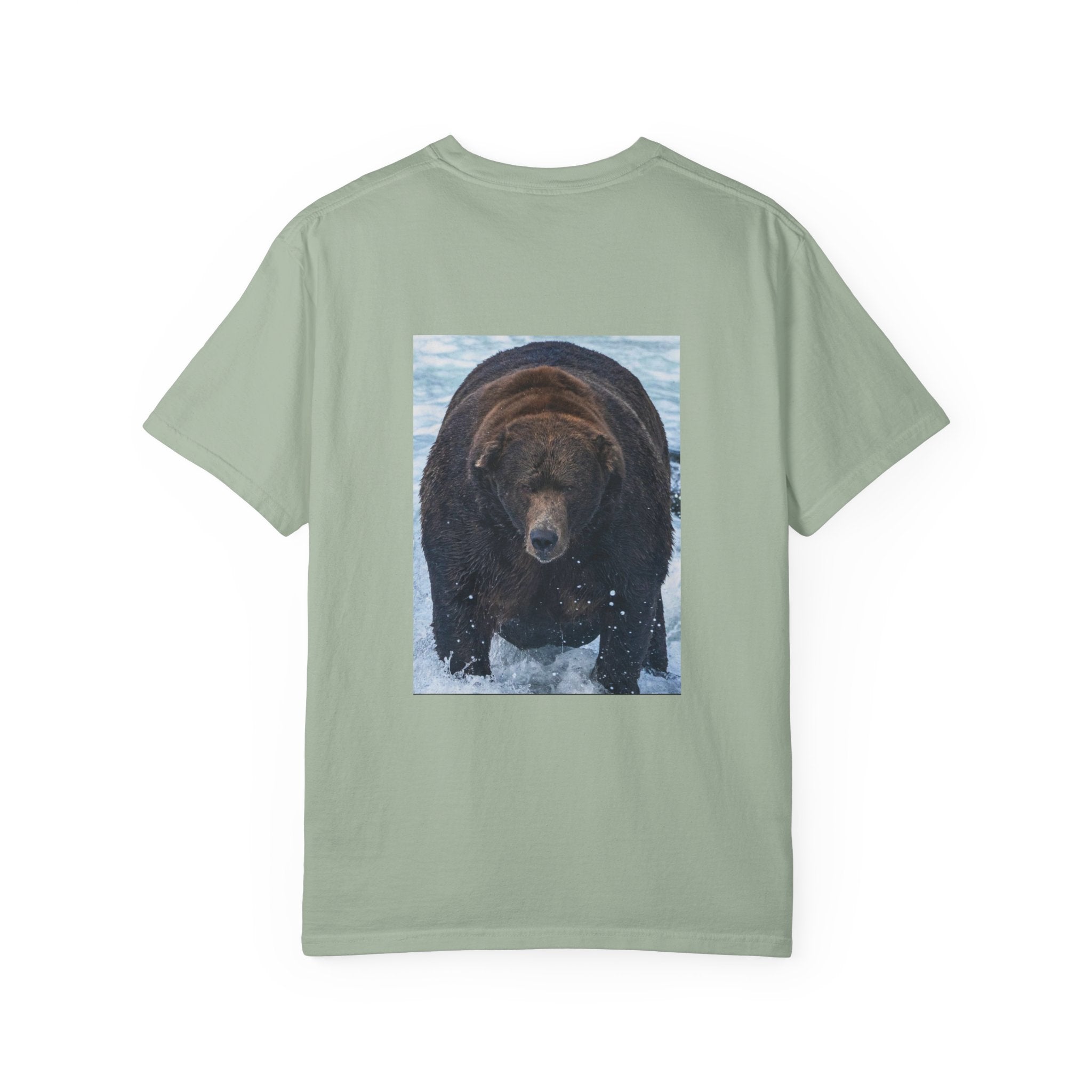 Bear 747 T-Shirt — Wildlife Photo Graphic Tee