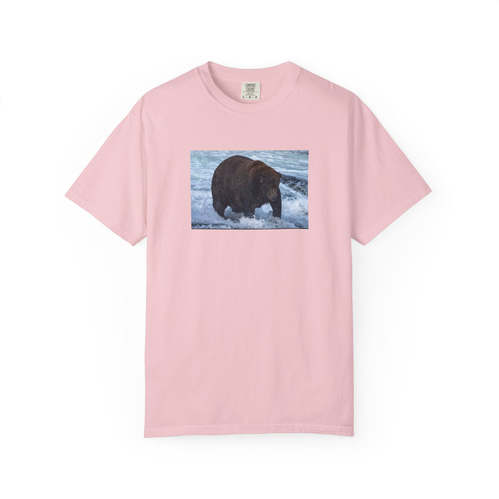 Bear 747 T-Shirt — Wildlife Photo Graphic Tee