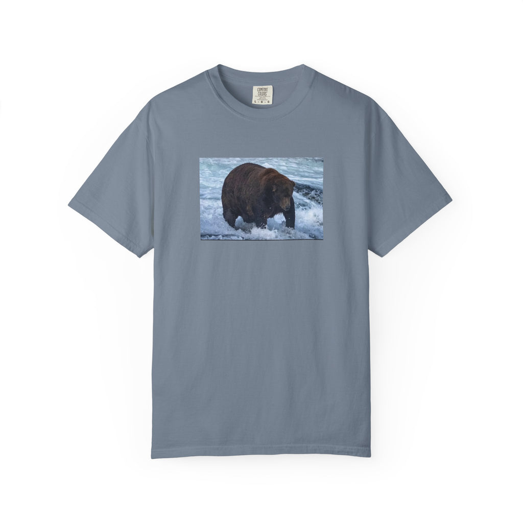 Bear 747 T-Shirt — Wildlife Photo Graphic Tee
