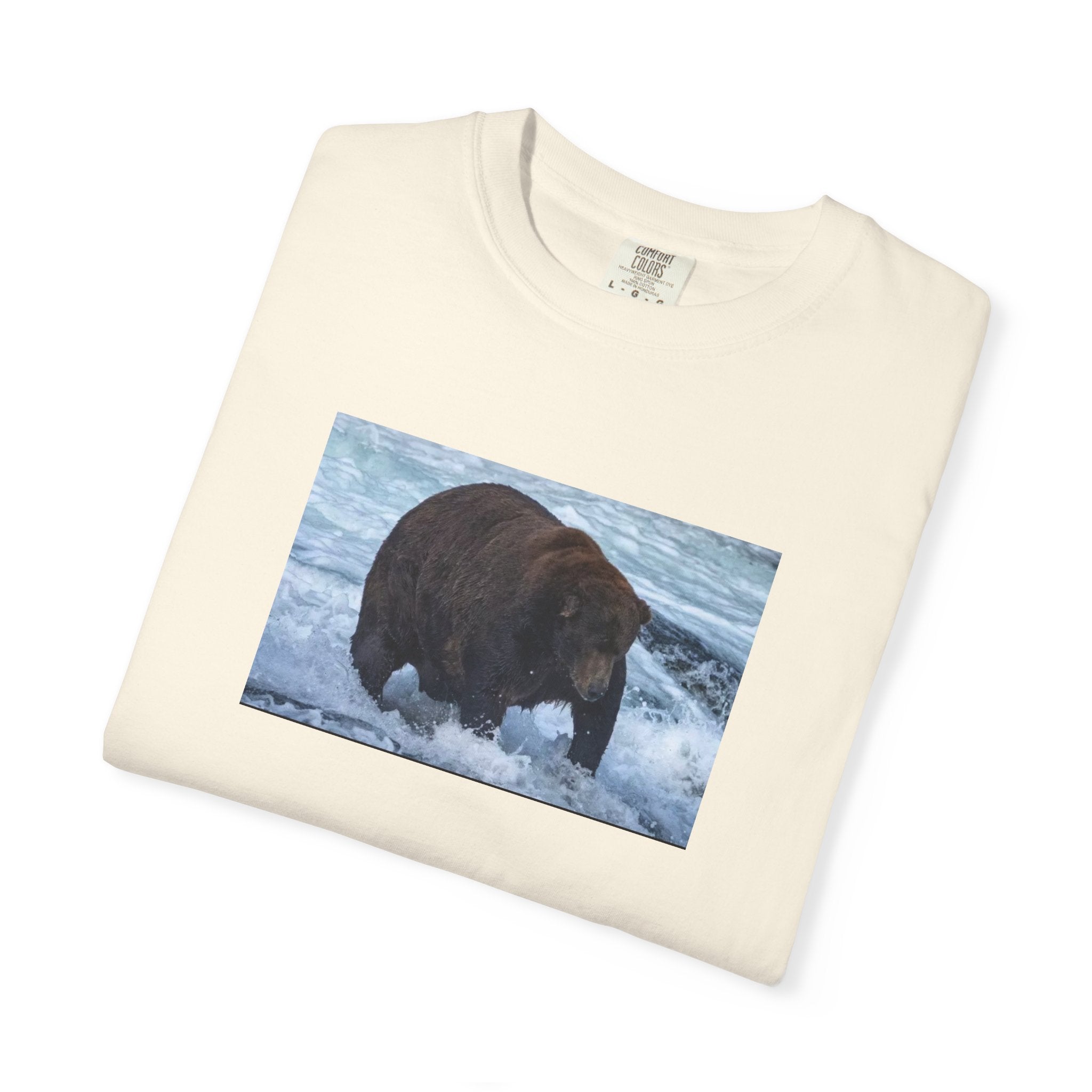 Bear 747 T-Shirt — Wildlife Photo Graphic Tee